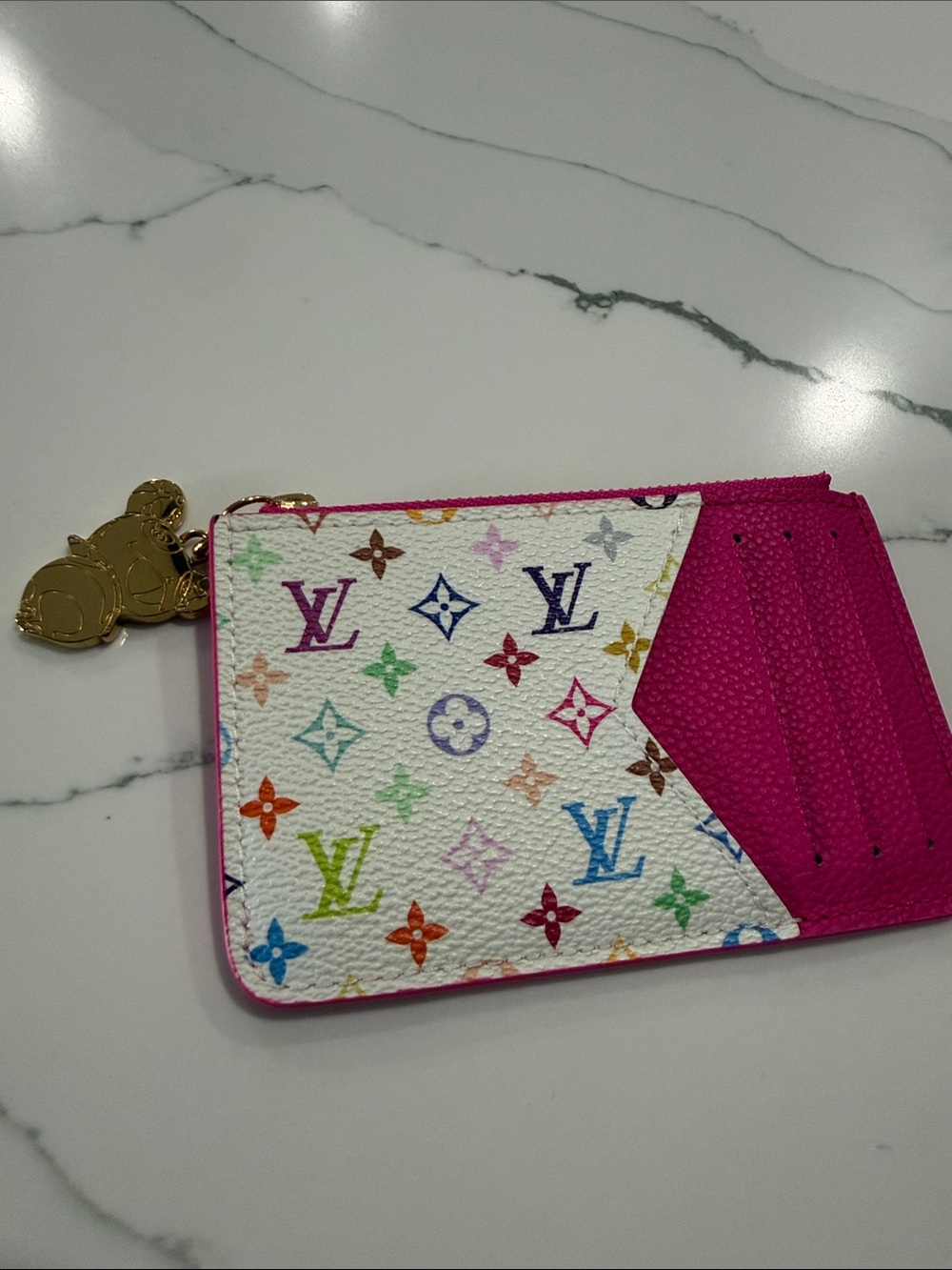 Multicolor Card and Coin Holder